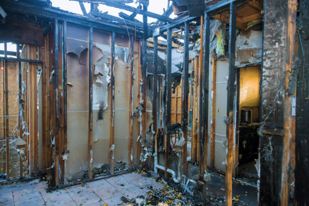 Professional Smoke Damage Removal technician working in Lake Park, NC